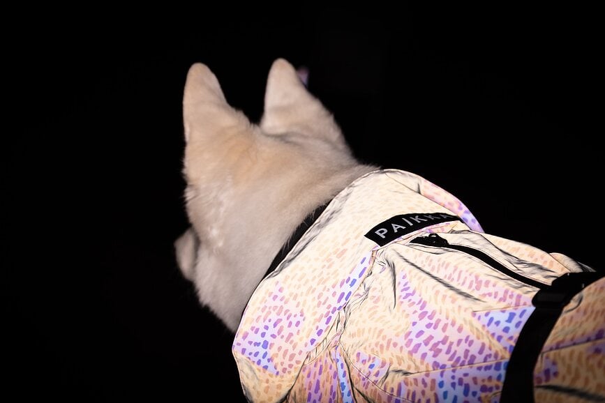 Impermeable para perro Paikka 2.0, 40 cm