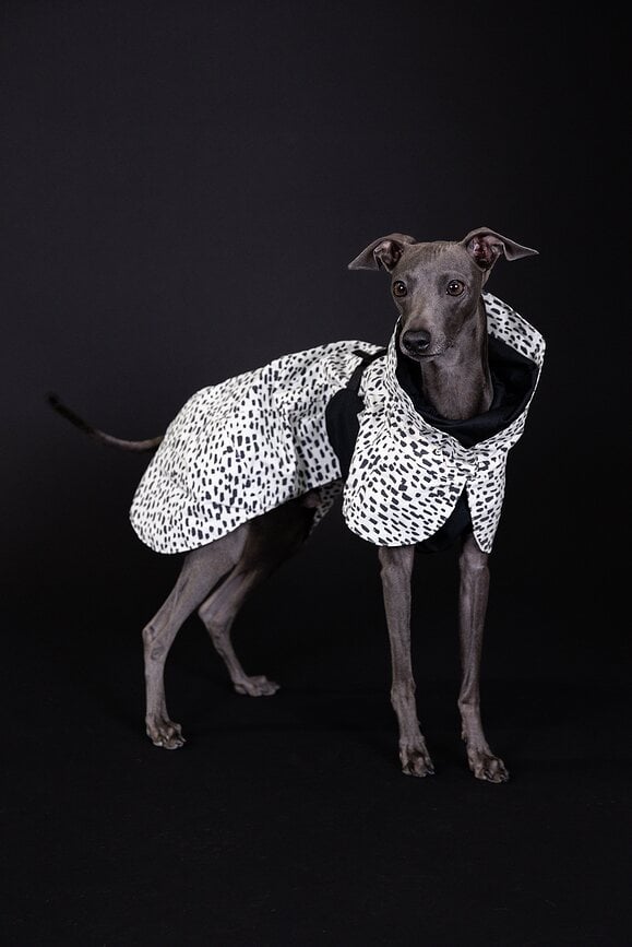 Impermeable para perro Paikka 2.0, 40 cm