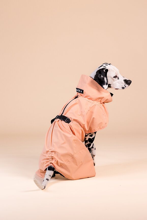 Chubasquero para perro reflectante Paikka, 60 cm, melocotón