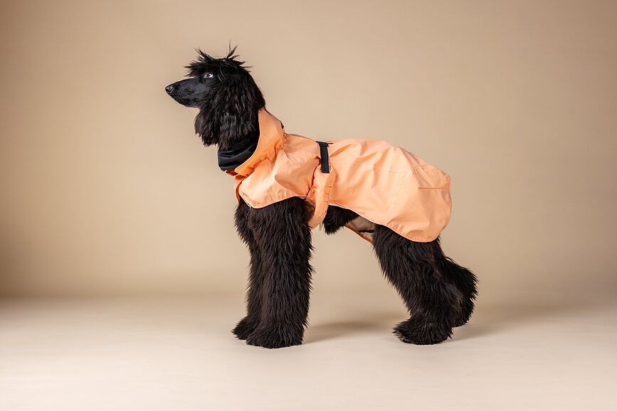 Chubasquero para perro reflectante Paikka, 60 cm, melocotón