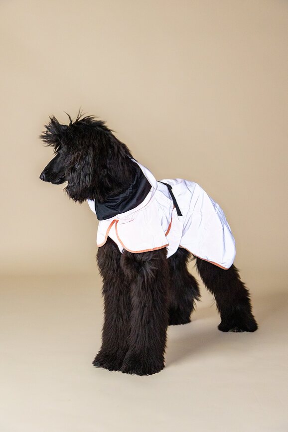 Chubasquero para perro reflectante Paikka, 60 cm, melocotón