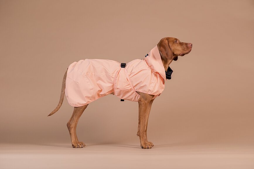 Chubasquero para perro reflectante Paikka, 60 cm, melocotón