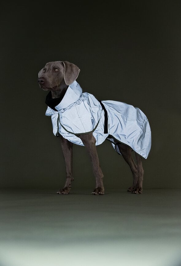 Impermeable reflectante para Perro Paikka, 45 cm, verde