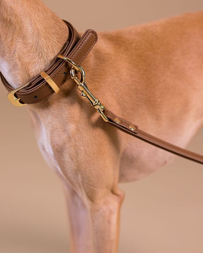 Collar para perro Lignify M, marrón