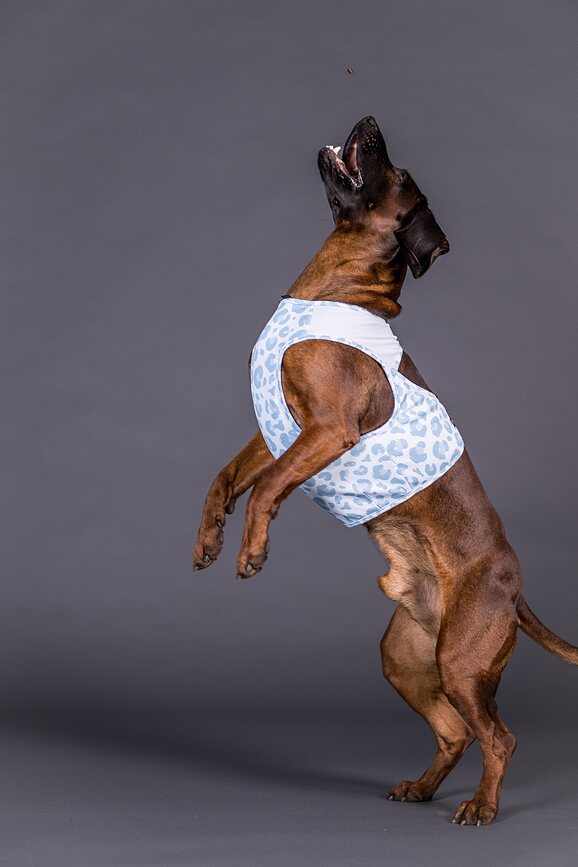 Cool Vest kølevest til hund, L, lyseblå