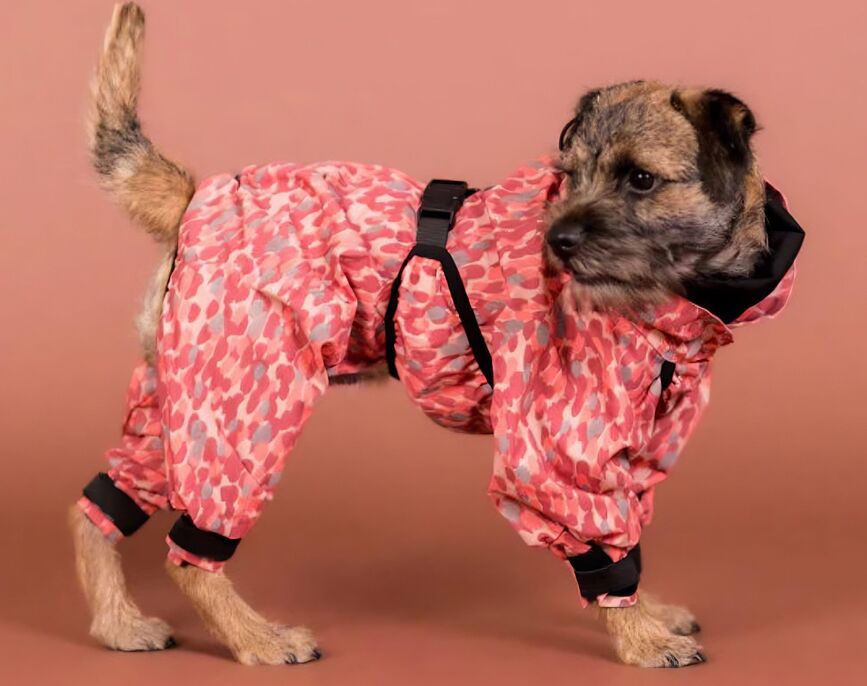 Dežni kombinezon za pse Rain Suit, pikčast, 70 cm, rdeč