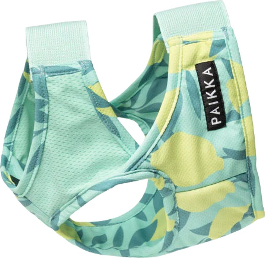 Hladilni telovnik za psa Cool Vest z morskimi limetami, XS