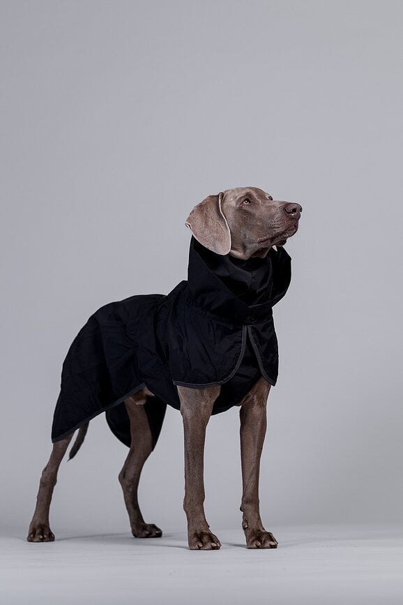 Impermeable para Perro Paikka Recovery Lite, 60 cm, negro