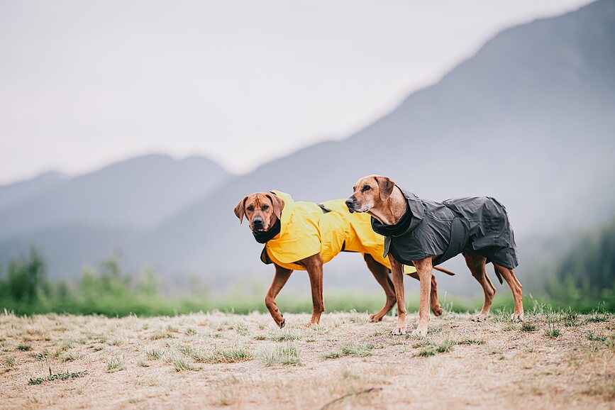 Impermeable para Perro Paikka Visibility Lite, 55 cm, amarillo