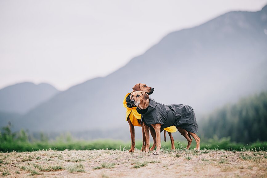 Impermeable para Perro Paikka Visibility Lite, 55 cm, amarillo