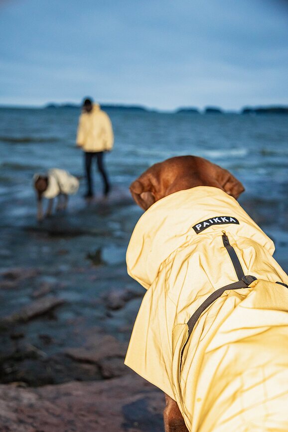 Impermeable para Perro Paikka Visibility Lite, 55 cm, amarillo