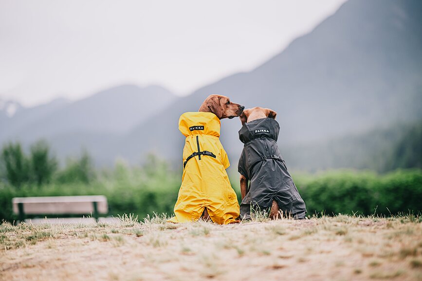 Impermeable para Perro Paikka Visibility Lite, 55 cm, amarillo