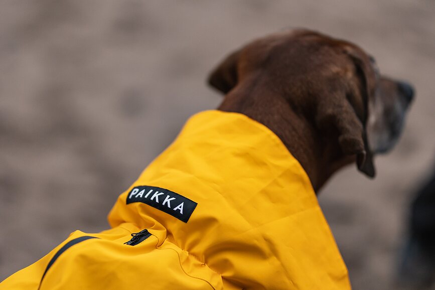 Impermeable para Perro Paikka Visibility Lite, 55 cm, amarillo