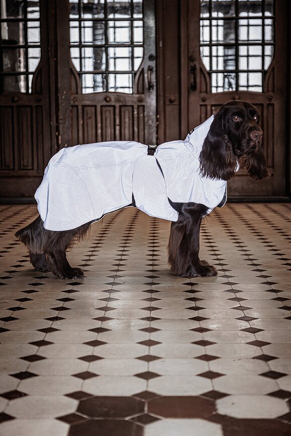 Chubasquero para Perro Paikka Visibility Lite, 50 cm, color topo