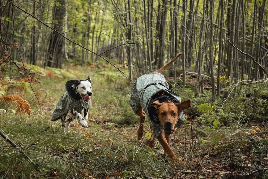 Chubasquero para Perro Paikka Visibility Lite, 30 cm, estampado de leopardo verde