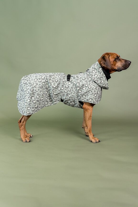 Chubasquero para Perro Paikka Visibility Lite, 30 cm, estampado de leopardo verde