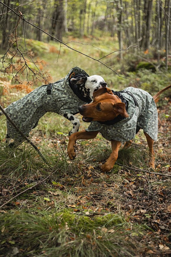 Chubasquero para Perro Paikka Visibility Lite, 30 cm, estampado de leopardo verde