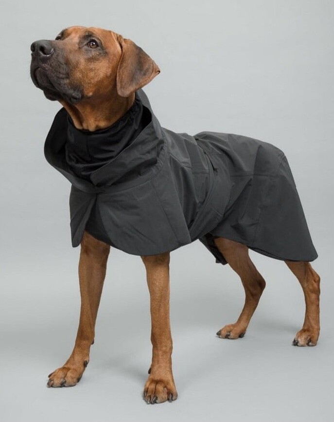 Impermeable para perro Paikka Visibility, 45 cm, negro