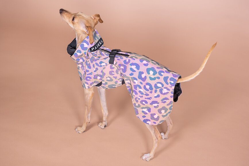 Impermeable para Perro Paikka Visibility Lite, 40 cm, estampado de leopardo, marrón