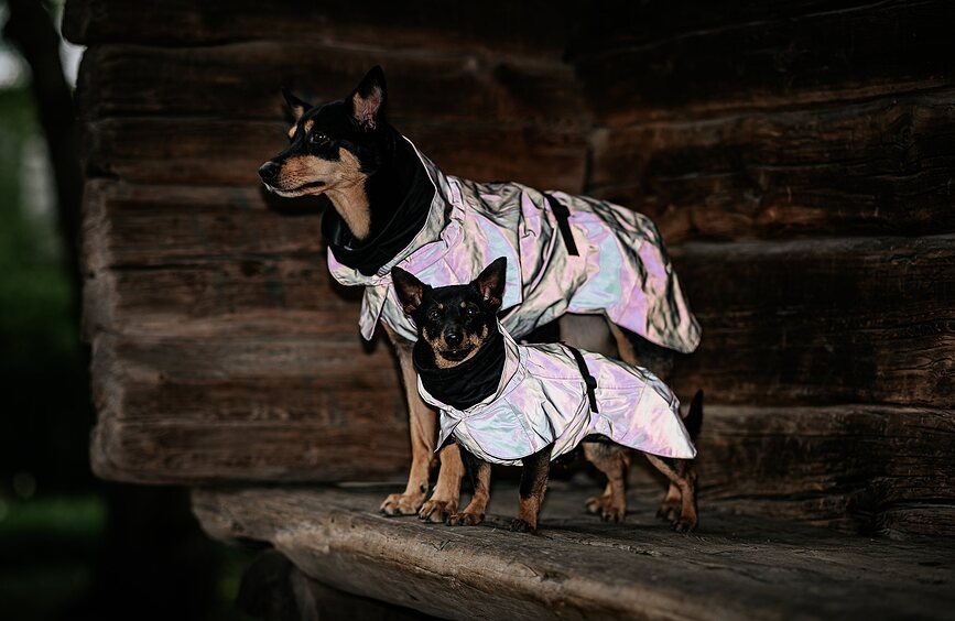 Impermeable para Perro Paikka Visibility Lite, 40 cm, estampado de leopardo, marrón