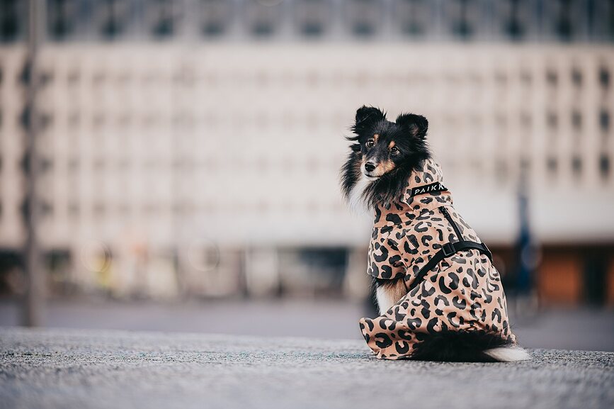 Impermeable para Perro Paikka Visibility Lite, 40 cm, estampado de leopardo, marrón