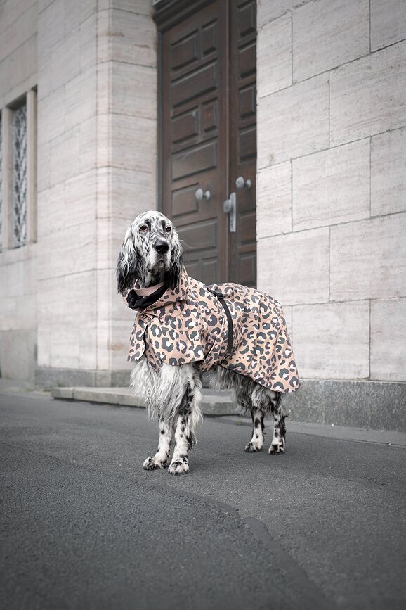 Impermeable para Perro Paikka Visibility Lite, 40 cm, estampado de leopardo, marrón