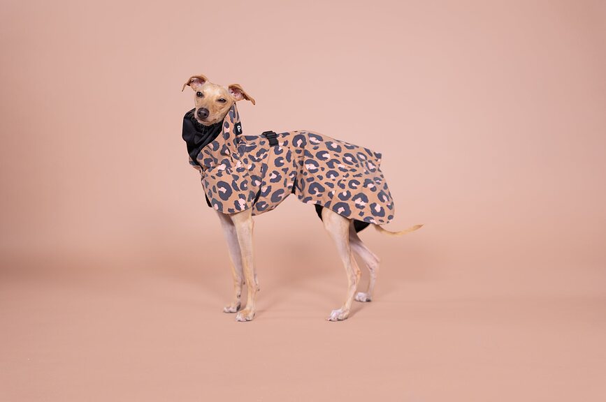 Impermeable para Perro Paikka Visibility Lite, 40 cm, estampado de leopardo, marrón