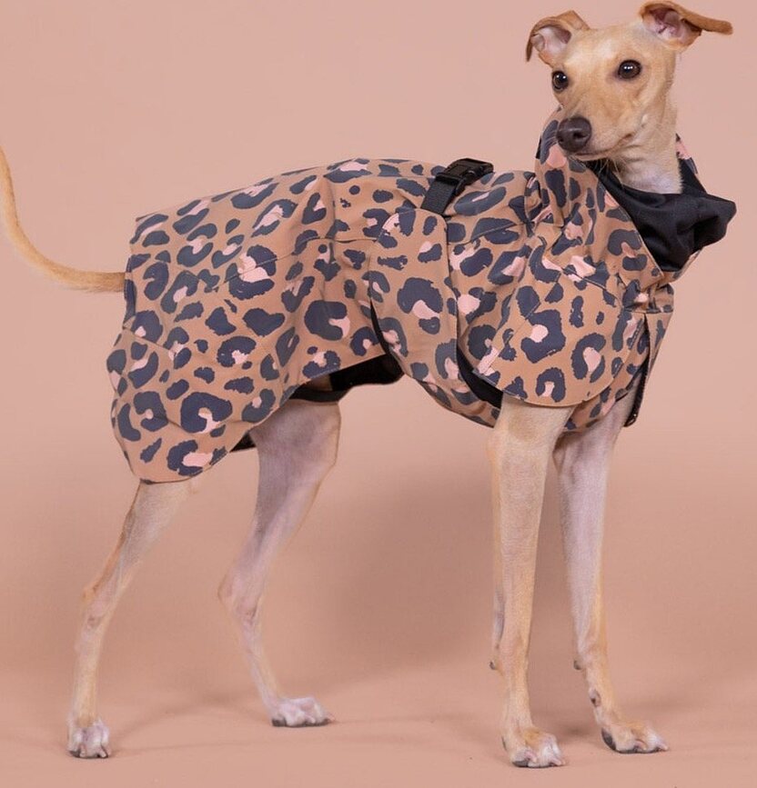 Impermeable para Perro Paikka Visibility Lite, 40 cm, estampado de leopardo, marrón