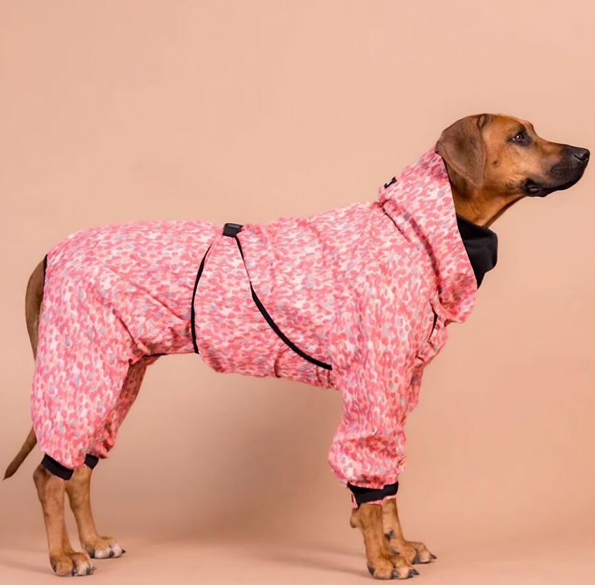 Kombinezonas šunims Rain Suit, raudonas su taškeliais, 40 cm