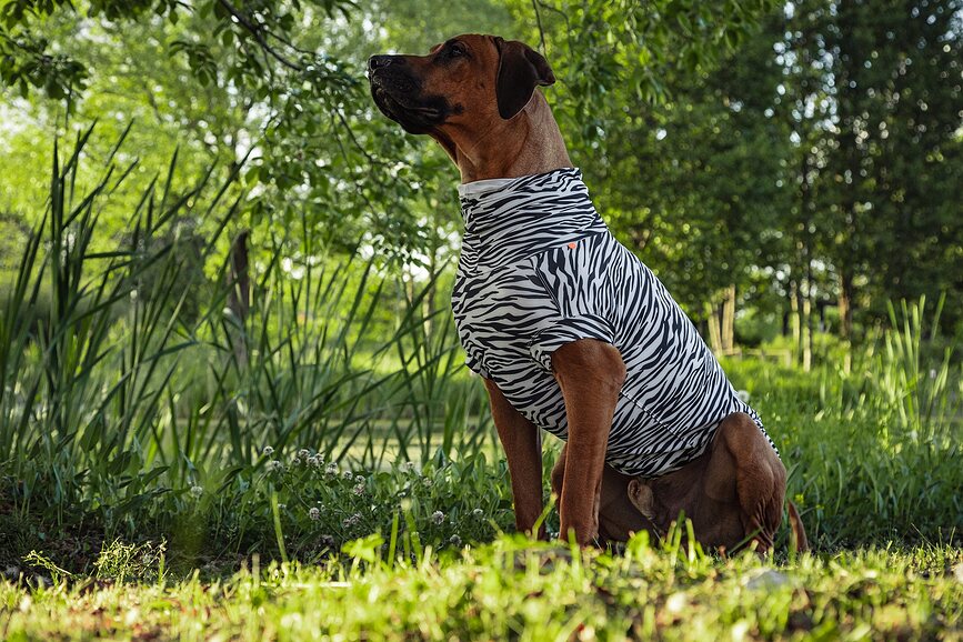 Koszulka dla psa Paikka UV & Bug 25 cm zebra