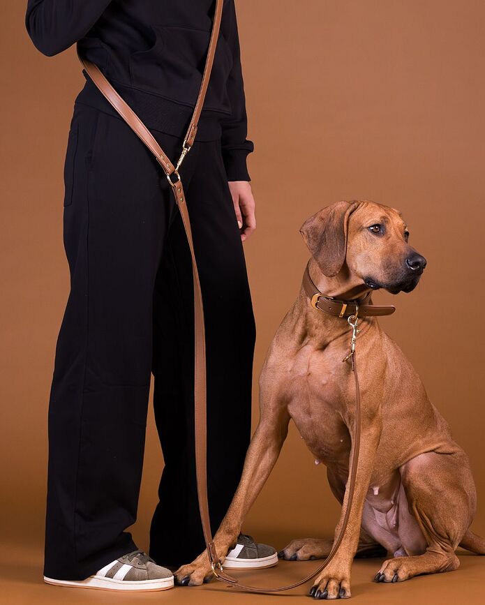 Lignify Hundhalsband L, brunt