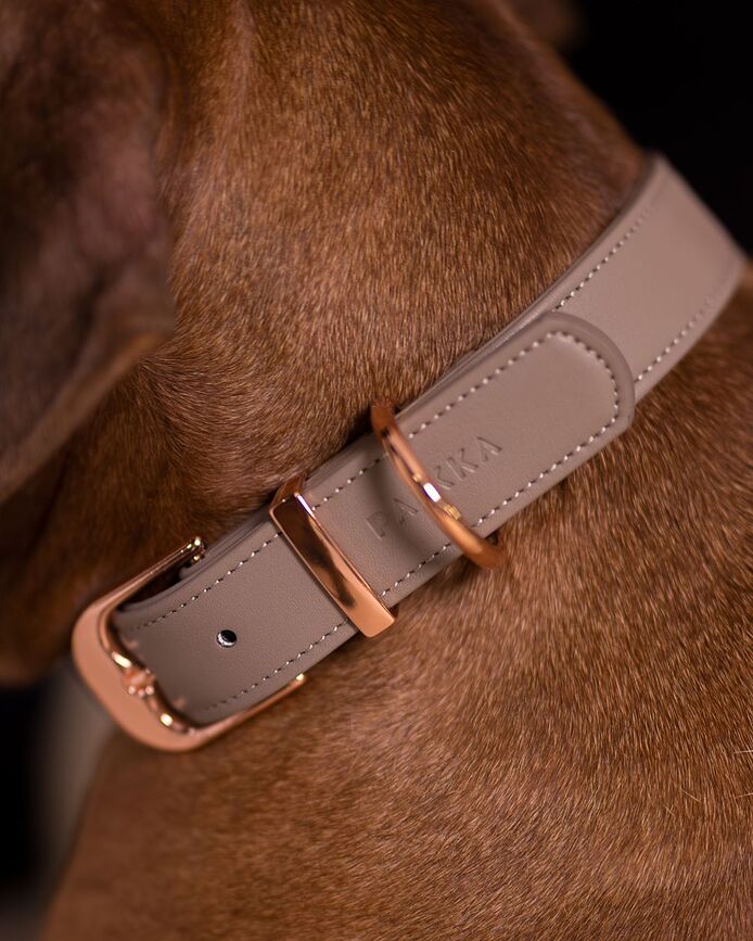 Lignify Hundhalsband XL, taupe