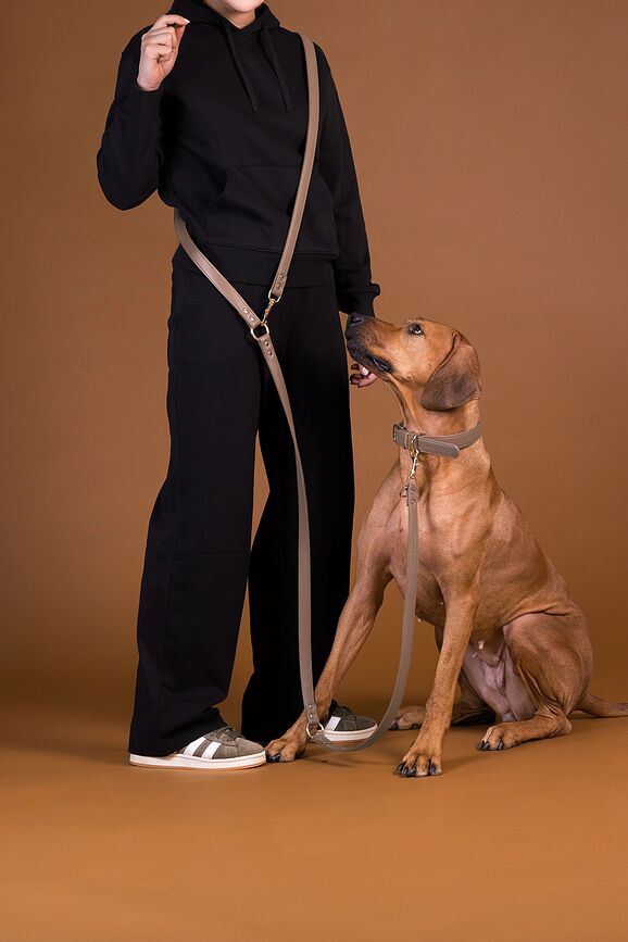 Lignify Justerbart hundkoppel 2,5 x 300 cm, taupe