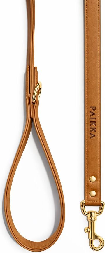 Lignify Λουρί σκύλου, 1,5 x 180 cm, καφέ