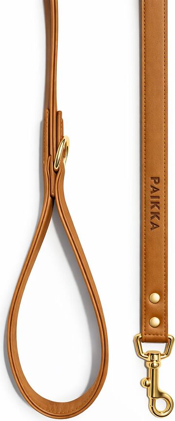 Lignify Povodec za psa, 1,5 x 180 cm, rjav