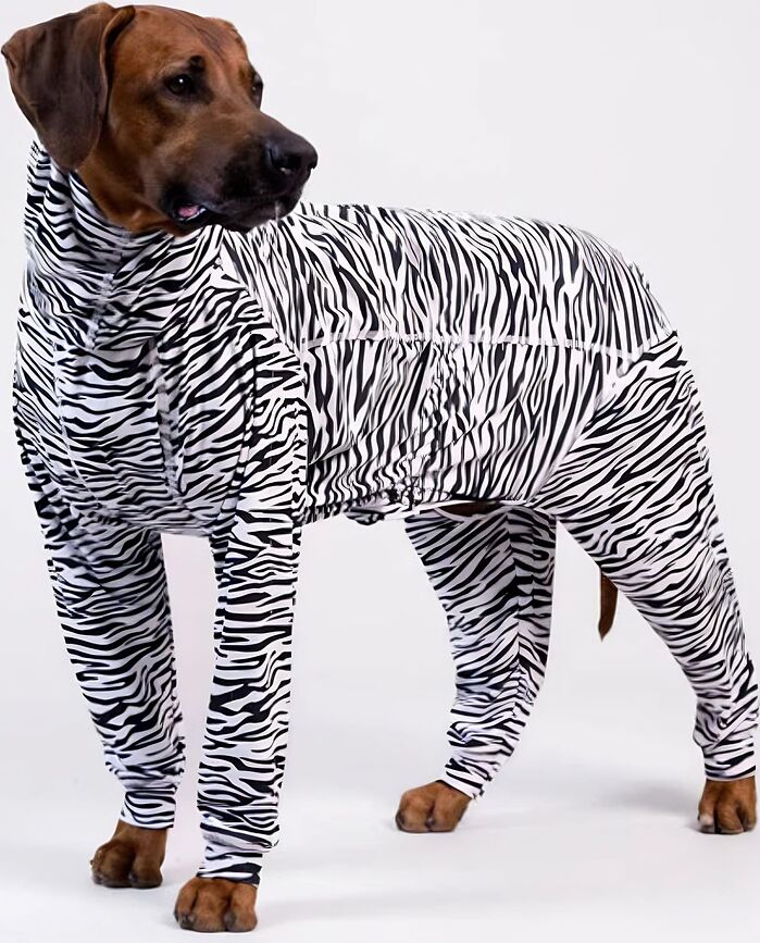 Maglietta per cani UV&Bug Overall 80 cm, zebra