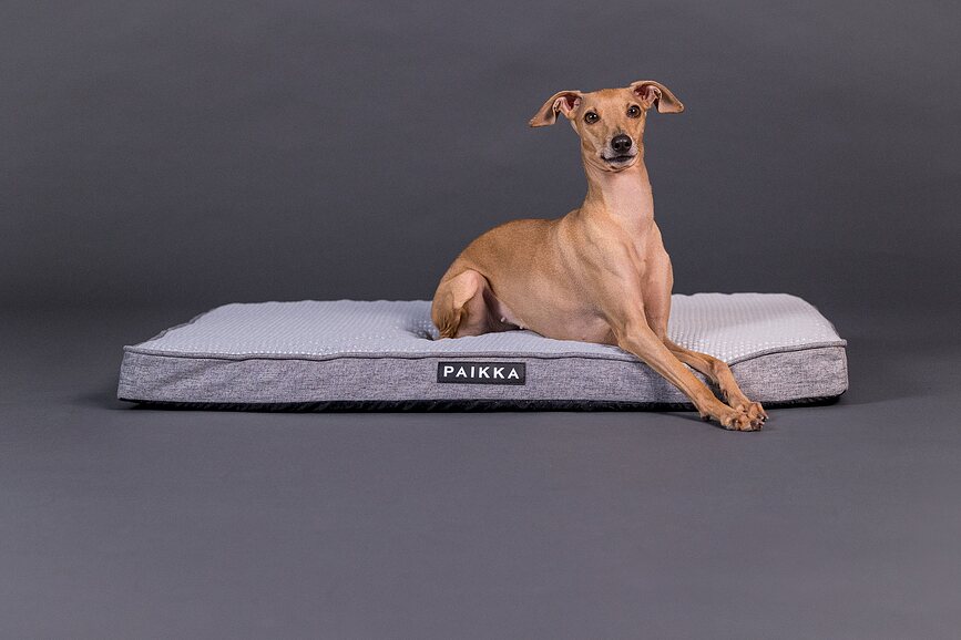Matelas orthopédique pour chien Paikka Cooling 120 cm, gris