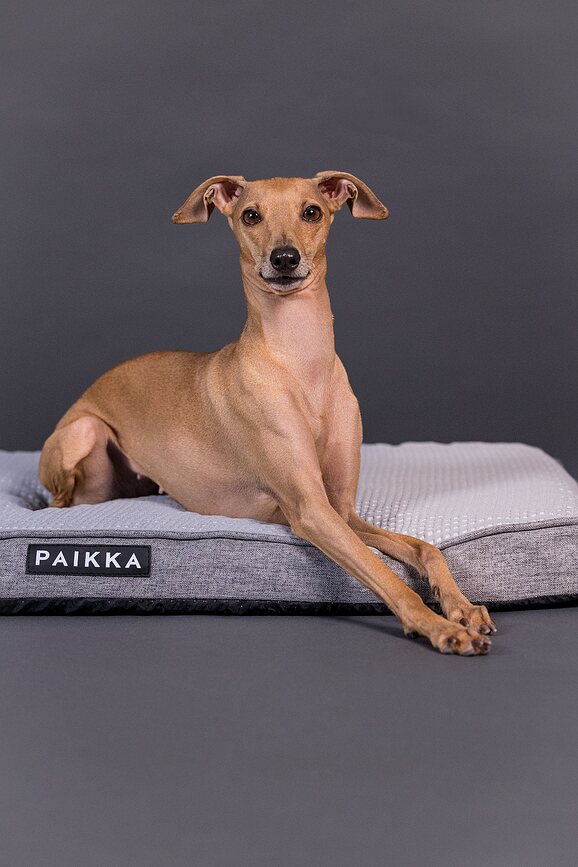 Materassino ortopedico per cani Paikka Cooling 120 cm, grigio