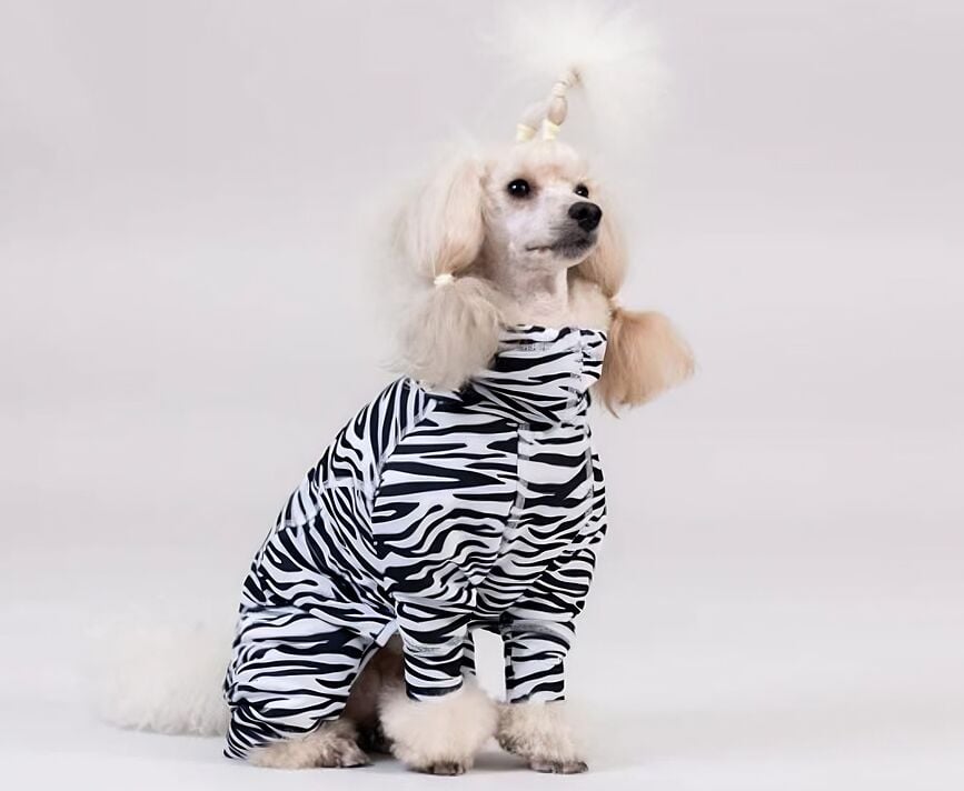 Obleček pro psa UV&Bug Overall 25 cm, zebra