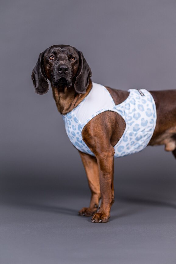 Охолоджуючий жилет для собаки Cool Vest L блакитний