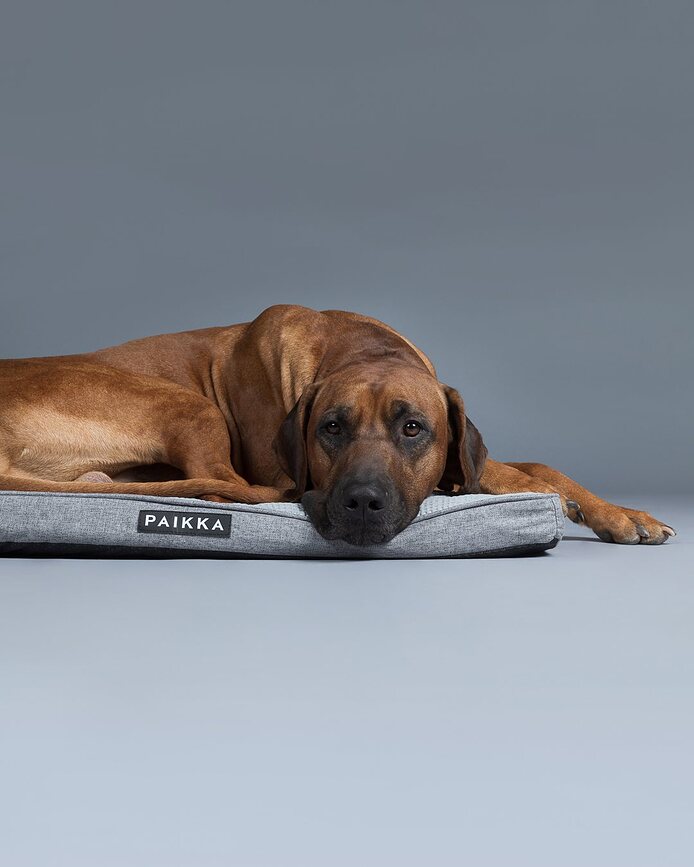 Ortopedická matrace pro psa Paikka Cooling, 80 cm, šedá