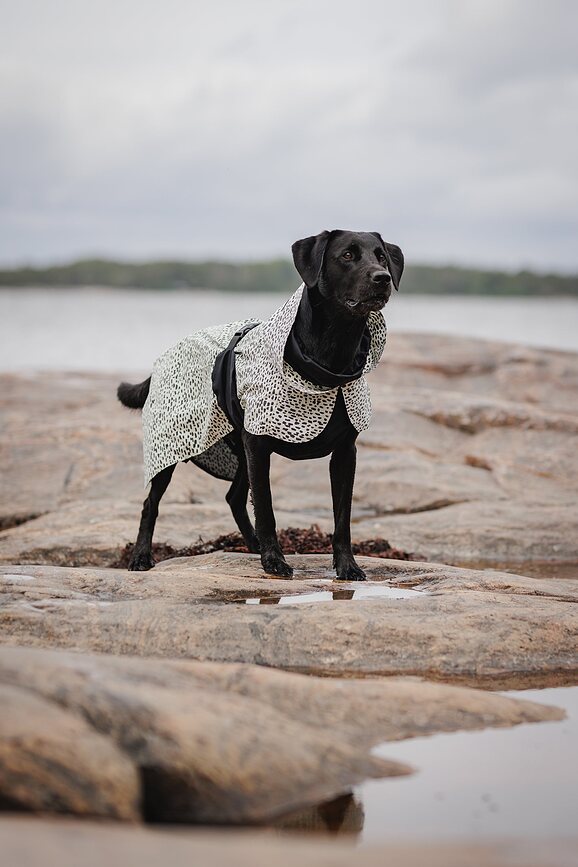 Paikka 2.0 Αδιάβροχο για Σκύλο, 40 εκ.