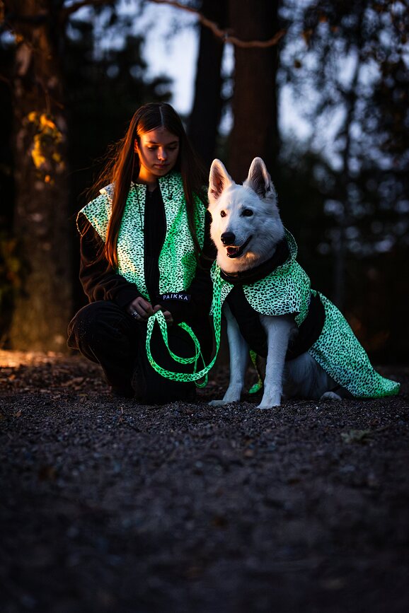 Paikka 2.0 Manteau de Pluie pour Chien, 40 cm