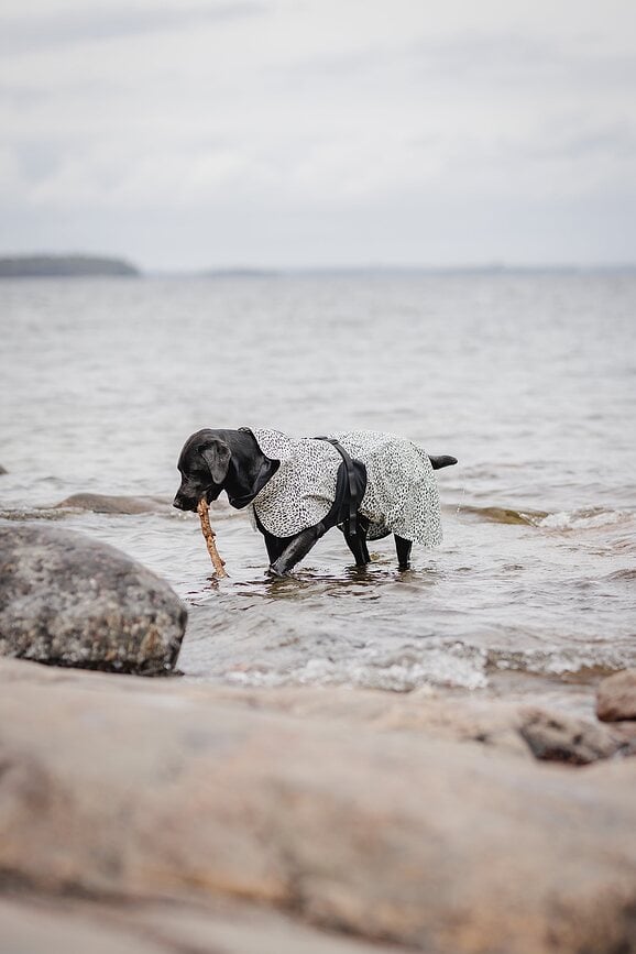 Paikka 2.0 Manteau de Pluie pour Chien, 40 cm
