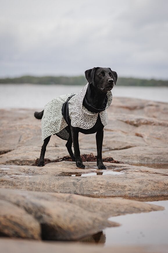 Paikka 2.0 Manteau de Pluie pour Chien, 40 cm