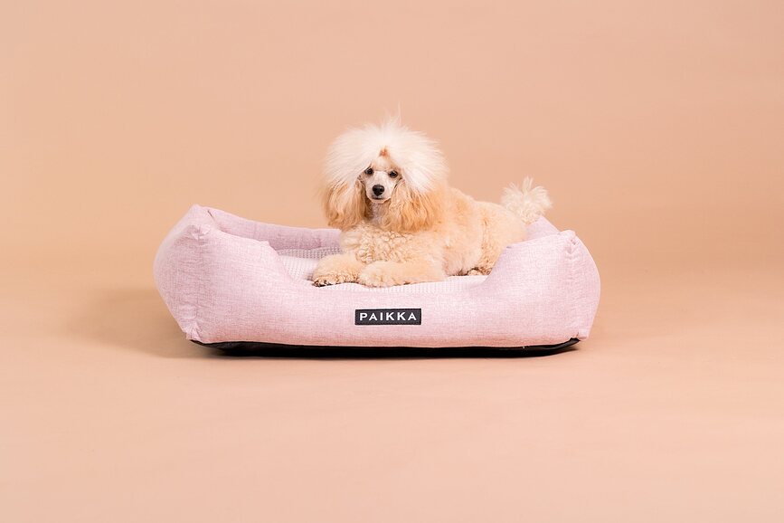 Paikka Cooling ortopædisk hundeseng 90 cm, lyserød