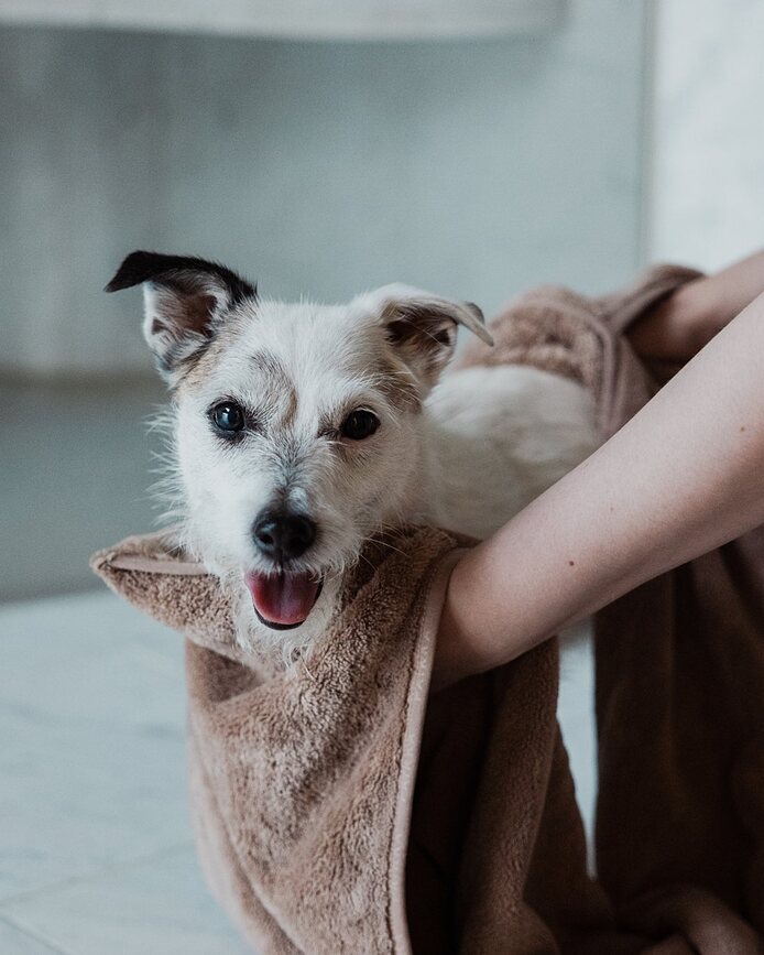 Paikka Drying Serviette pour Chien 40 x 110 cm, taupe