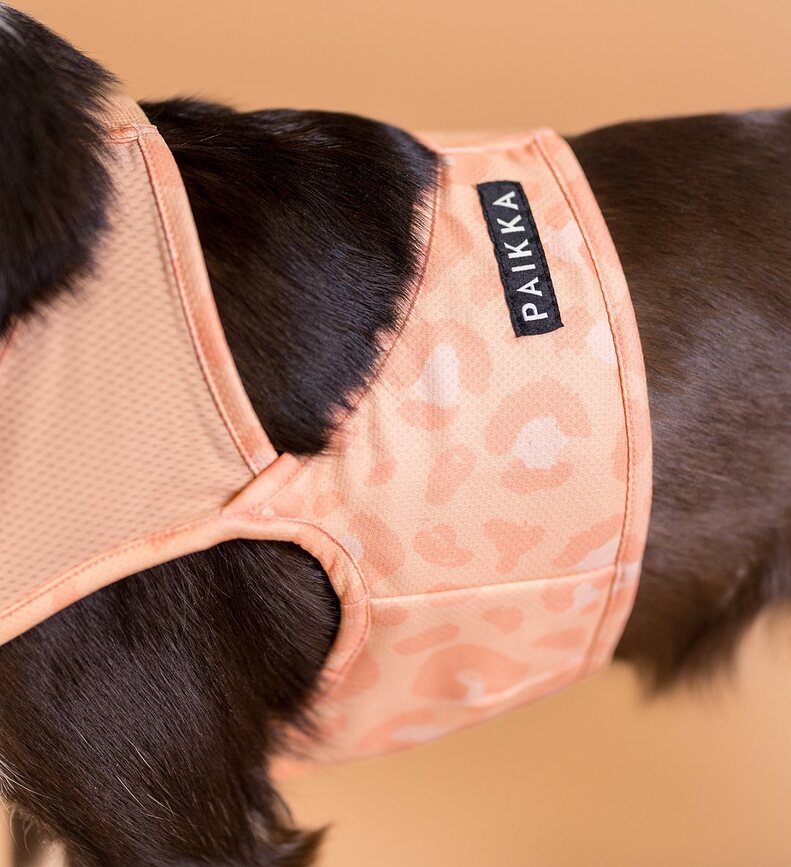 Paikka Gilet rafraîchissant pour chien, XL, pêche