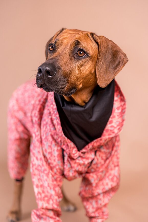 Paikka Imperméable pour Chien 50 cm, rose