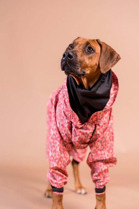 Paikka Imperméable pour Chien 50 cm, rose